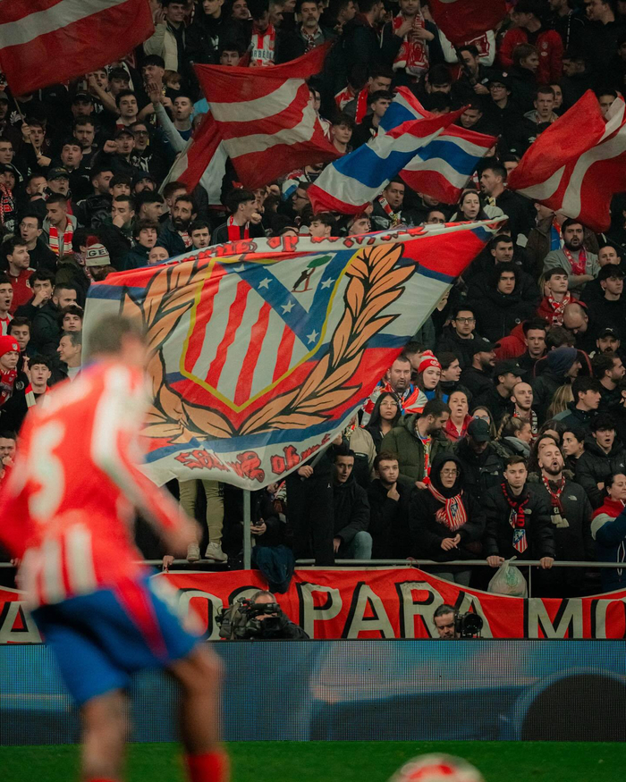 武藤嘉纪：这本是场必须赢的比赛，但1分也算达到最低要求了